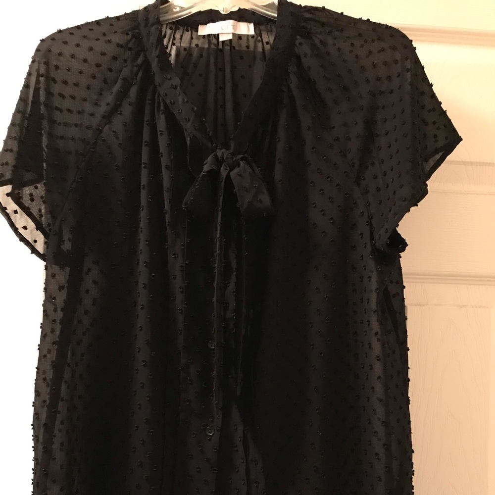 Women’s Loft Top